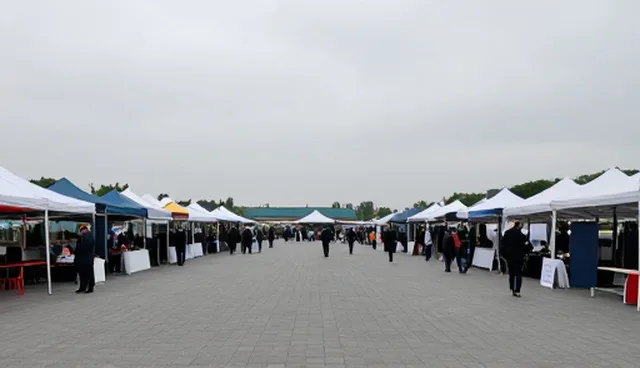 商务管理咨询：市场调研常见问题与处理方法